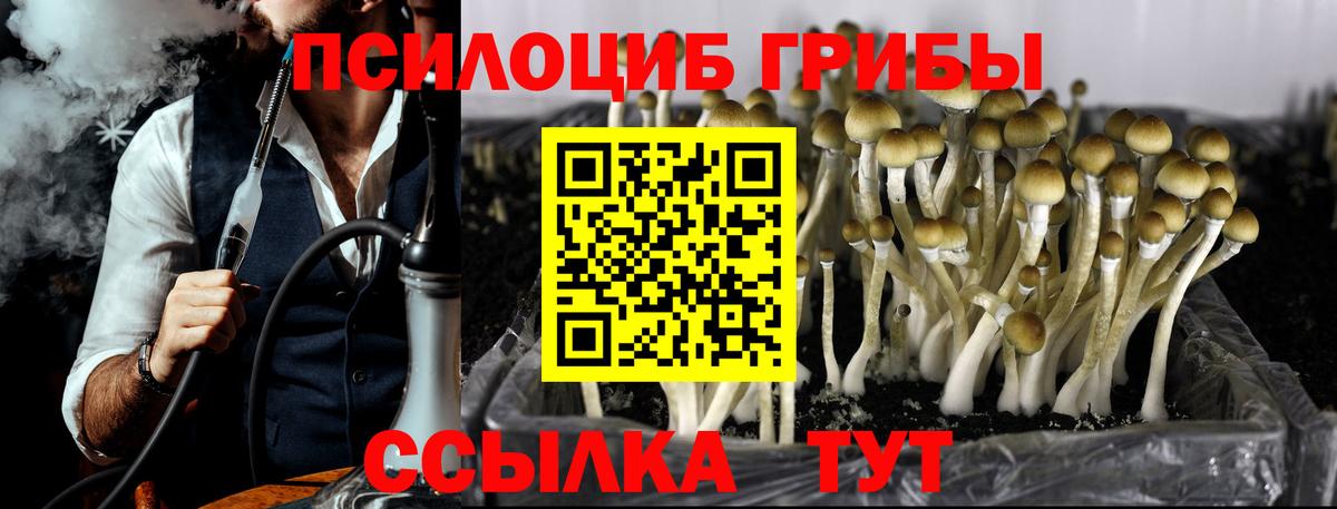 Псилоцибиновые грибы ЛСД Боровичи