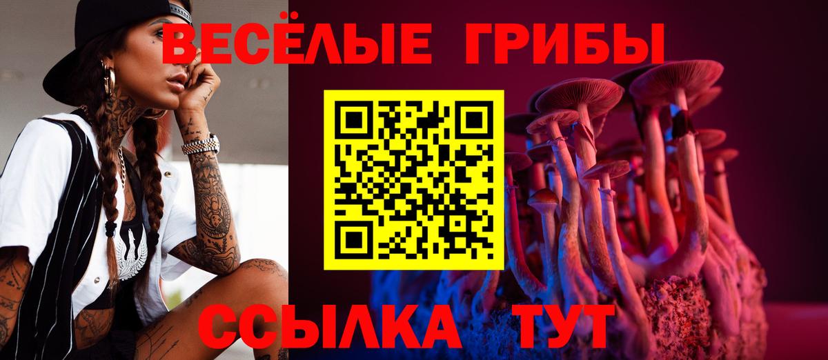 Боровичи  Псилоцибиновые грибы Magic Shrooms  Вход с VPN 
